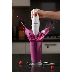 SİNBO SHB-3102 EL BLENDER ÇELİK UÇLU